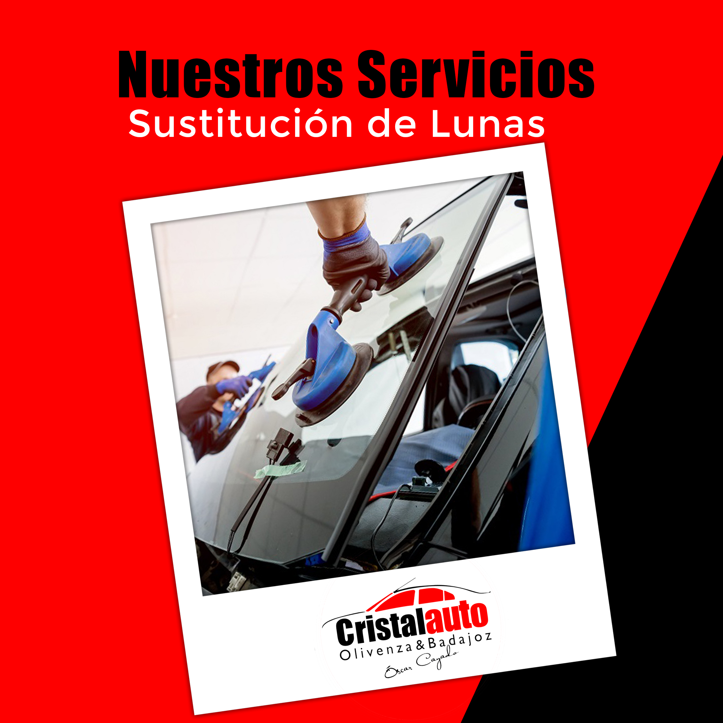 publicación 5