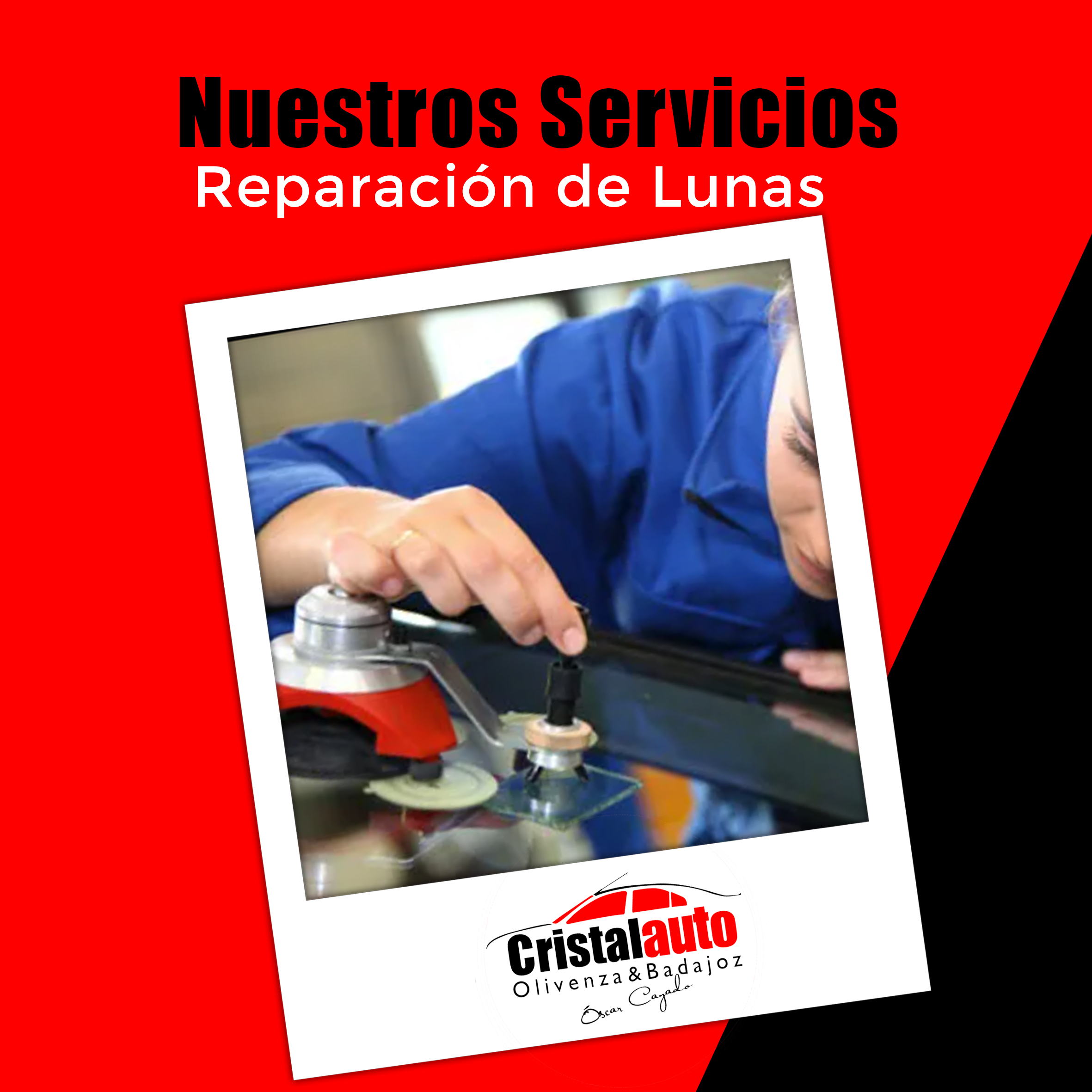 publicación 6
